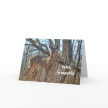 ワイルドライフディアウッズフォト悔やみや弔慰