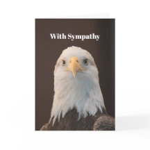 ワイルドライフハードイーグルポートレートフォト悔やみや弔慰