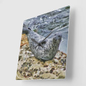 ワイルドライフハーバーシールテールトーキングサンバザー スクエア壁時計 (傾斜)