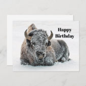 ワイルドライフバッファロースノーフォト誕生日 ポストカード (正面/裏面)