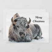 ワイルドライフバッファロー雪写真クリスマスフラット シーズンカード (正面/裏面)