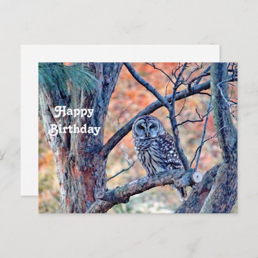 ワイルドライフバードフクロウの木の写真誕生日 ポストカード (正面/裏面)