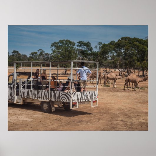 ワイルドライフパークのゼブラサファリツアートラック ポスター (正面)