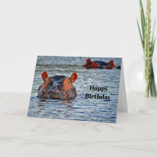 ワイルドライフヒッポウォーターフォト誕生日 カード