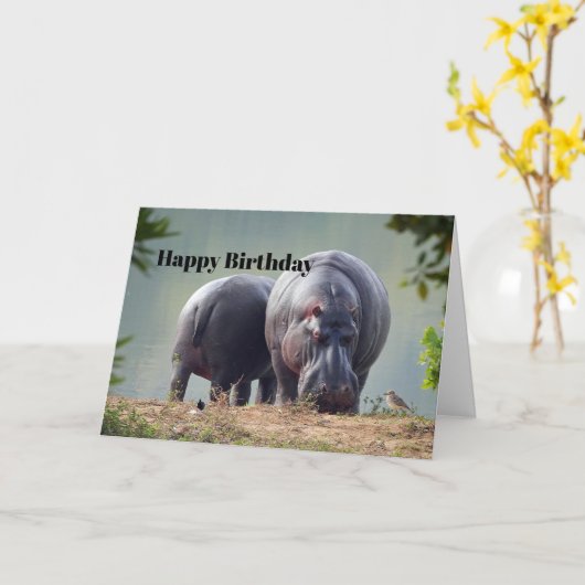 ワイルドライフヒッポフォト誕生日 カード (黄色い花)