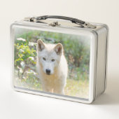 ワイルドライフフォトグラフィー、カナディアングレーウルフ メタルランチボックス (正面)