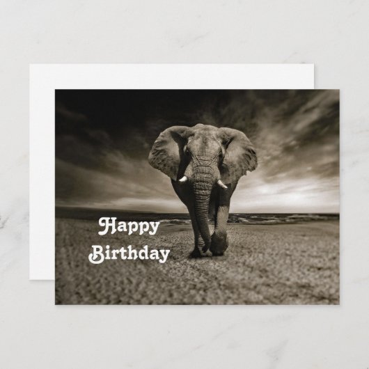 ワイルドライフブルエレファントフォト誕生日 ポストカード (正面/裏面)