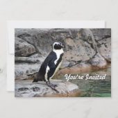 ワイルドライフペンギンフォト誕生日 招待状 (正面)