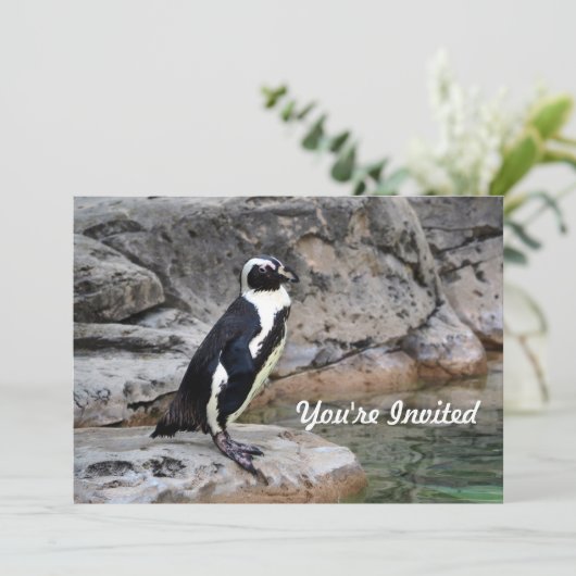 ワイルドライフペンギンフォト誕生日 招待状 (スタンド正面)