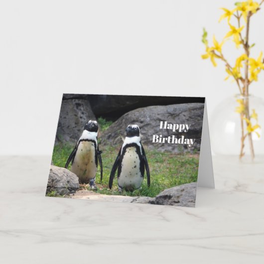 ワイルドライフペンギンペア写真誕生日 カード (黄色い花)