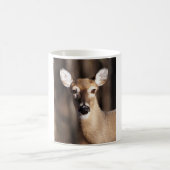 ワイルドライフホワイトテールディアドーポートレート コーヒーマグカップ (中央)