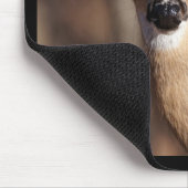 ワイルドライフホワイトテールディアドーポートレート マウスパッド (コーナー)