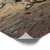 ワイルドライフランニングチータの写真 ポスター (角)