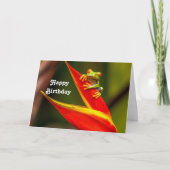 ワイルドライフレッドアイドツリーカエルフォト誕生日 カード (正面)