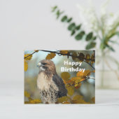 ワイルドライフレッドテイルドホークオータムフォト誕生日 ポストカード (スタンド正面)