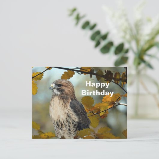 ワイルドライフレッドテイルドホークオータムフォト誕生日 ポストカード (スタンド正面)