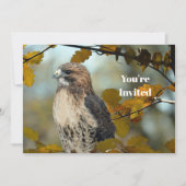 ワイルドライフレッドテイルドホークオータムフォト誕生日 招待状 (正面)