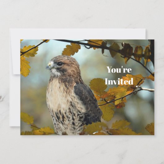 ワイルドライフレッドテイルドホークオータムフォト誕生日 招待状 (正面)