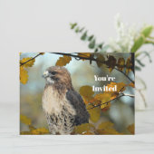 ワイルドライフレッドテイルドホークオータムフォト誕生日 招待状 (スタンド正面)