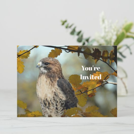 ワイルドライフレッドテイルドホークオータムフォト誕生日 招待状 (スタンド正面)