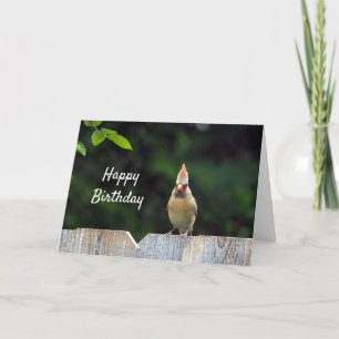 ワイルドライフレッド(鳥)ショウジョウコウカンチョウフェンス誕生日 カード