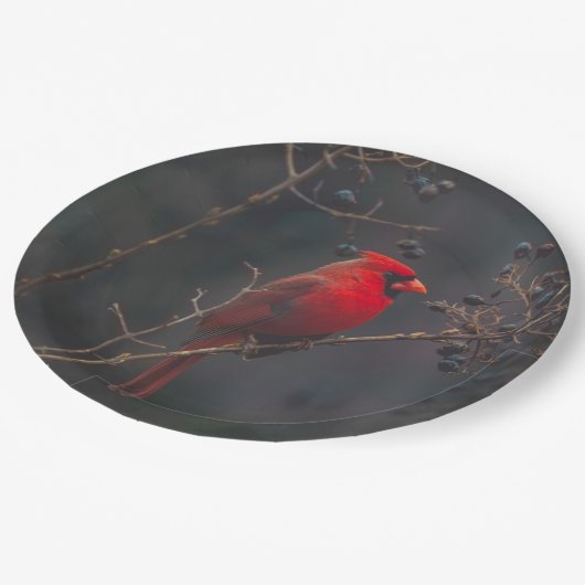 ワイルドライフレッド(鳥)ショウジョウコウカンチョウ写真 ペーパープレート (アングル)