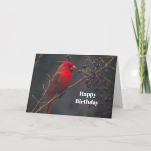 ワイルドライフレッド(鳥)ショウジョウコウカンチョウ誕生日 カード