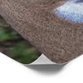 ワイルドライフ・ラブ ポスター (角)