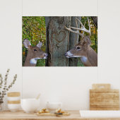 ワイルドライフ・ラブ ポスター (キッチン)