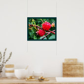 ワイルドラズベリー ポスター (キッチン)