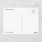 ワイルドラズベリー ポストカード (裏面)