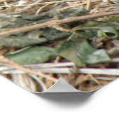 ワイルドラットフィールドトリッププリント ポスター (角)