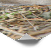 ワイルドラットプリント ポスター (角)