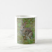 ワイルドラビットイースタンコットンテールアパレルとギフト コーヒーマグカップ (中央)