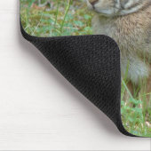 ワイルドラビットイースタンコットンテールIIアパレル&ギフト マウスパッド (コーナー)