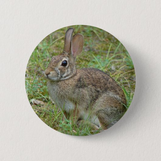 ワイルドラビットイースタンコットンテールIIアパレル&ギフト 缶バッジ (正面)