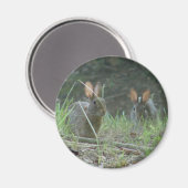 ワイルドラビットズイースタンコットンテールペアアパレルギフト マグネット (正面/裏面)