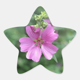 ワイルドラブ：オーストラリアへ 星シール