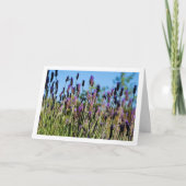 ワイルドラベンダーブルースカイポートレート カード (正面)