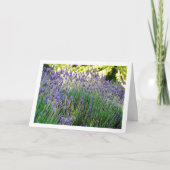 ワイルドラベンダーポートレート カード (正面)