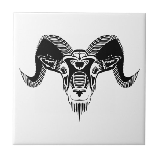 ワイルドラム タイル (正面)