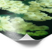 ワイルドランブリングホワイトローズ8x10 フォトプリント            (角)