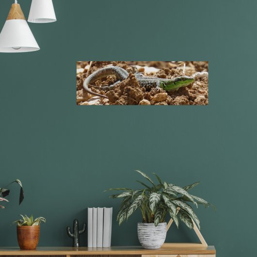 ワイルドリザード自然素朴撮影 ポスター (リビング1)