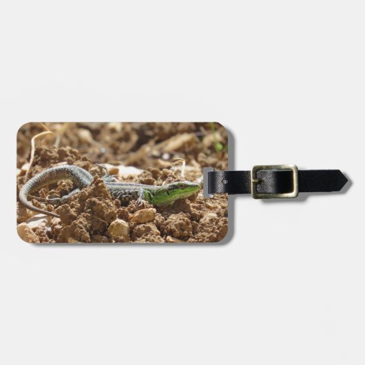 ワイルドリザード自然素朴撮影 ラゲッジタグ (正面横)