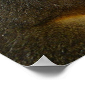 ワイルドリスの写真ポスター ポスター (角)