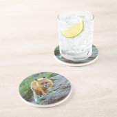 ワイルドレッドキツネヴィクセン野生生物写真芸術 コースター (側面)