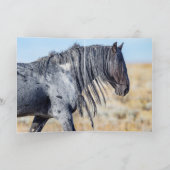 ワイルドレッドデザートスタリオンの姿 - グリーティングカード (内部)