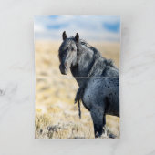 ワイルドレッドデザートスタリオン - グリーティングカード サンキューカード (内部)