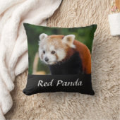 ワイルドレッドパンダ自然写真 クッション (ブランケット)
