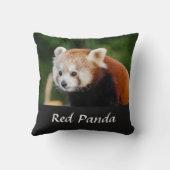 ワイルドレッドパンダ自然写真 クッション (裏面)
